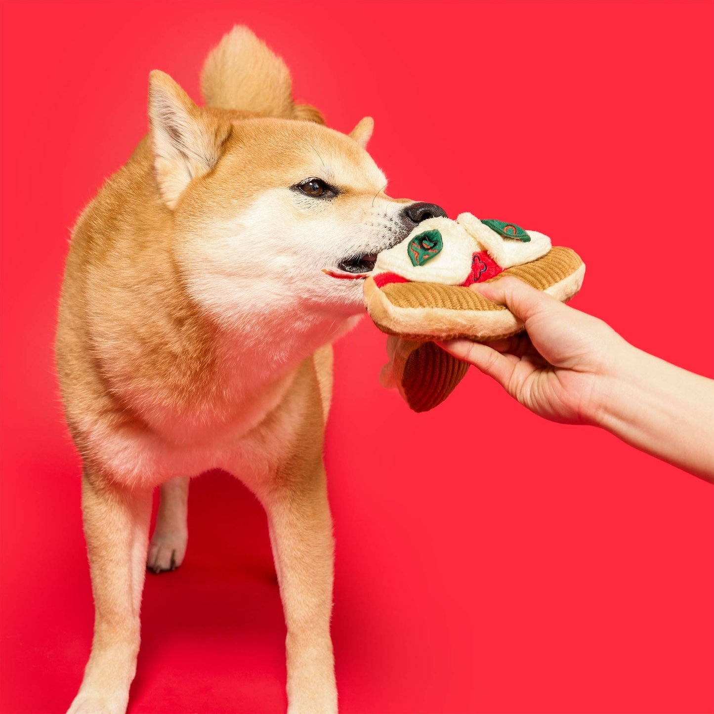 Jouet de pistage pour chien en forme de pizza