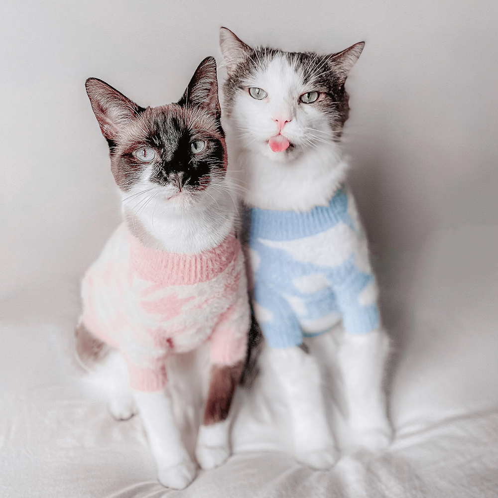 Le pull Soft Cloud - Bleu