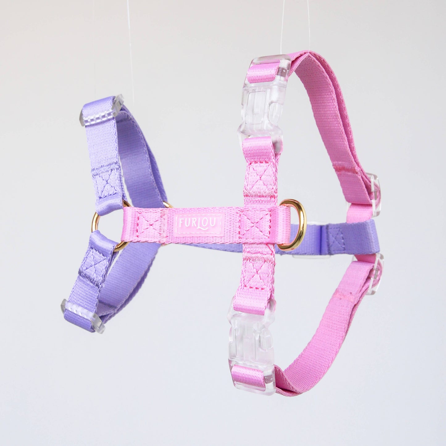 Le Harnais - Violet & Rose