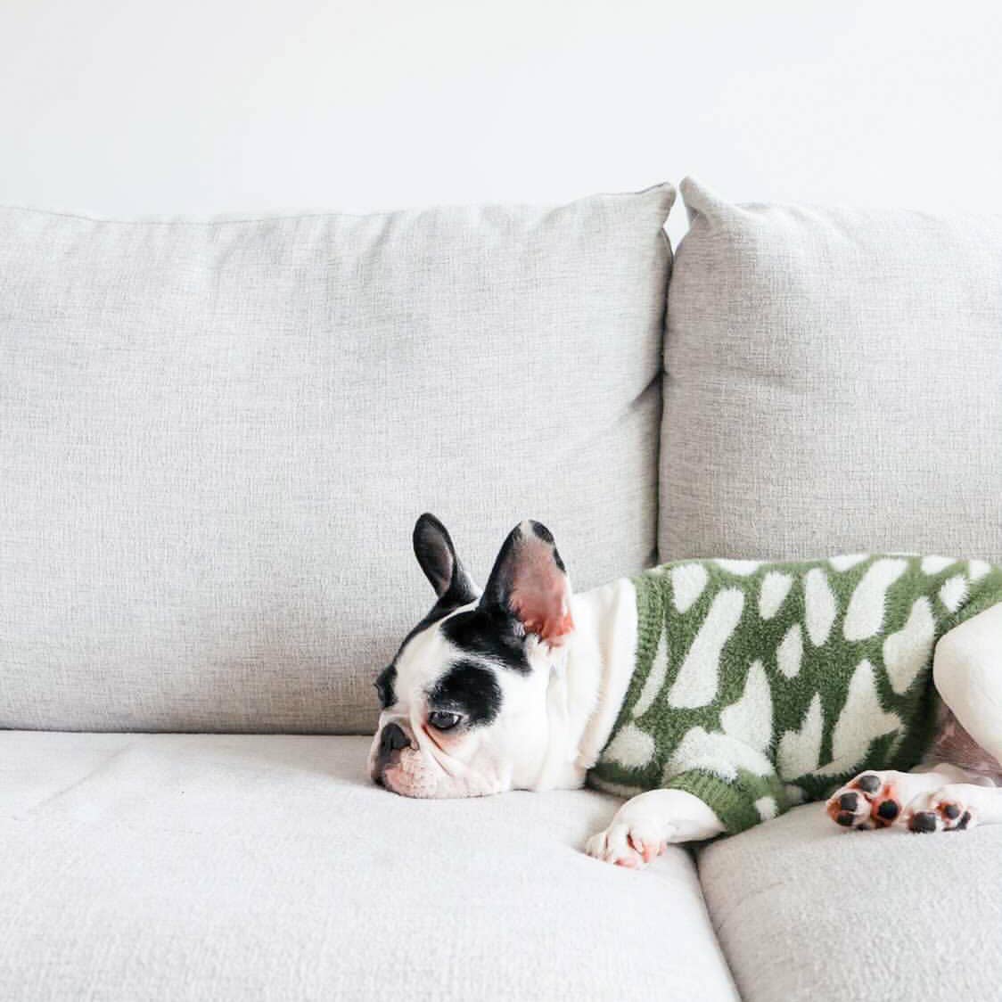 Le pull Soft Cloud - Vert