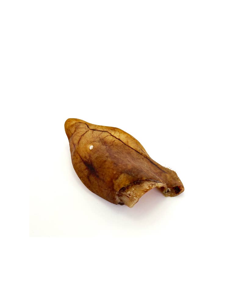 L'Oreille de Porc Ibérique Classique