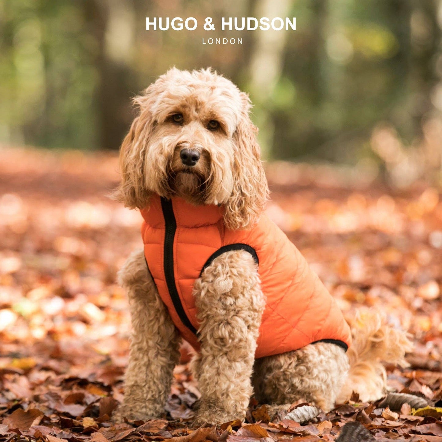 La Doudoune Réversible - Hackett x Hugo Hudson
