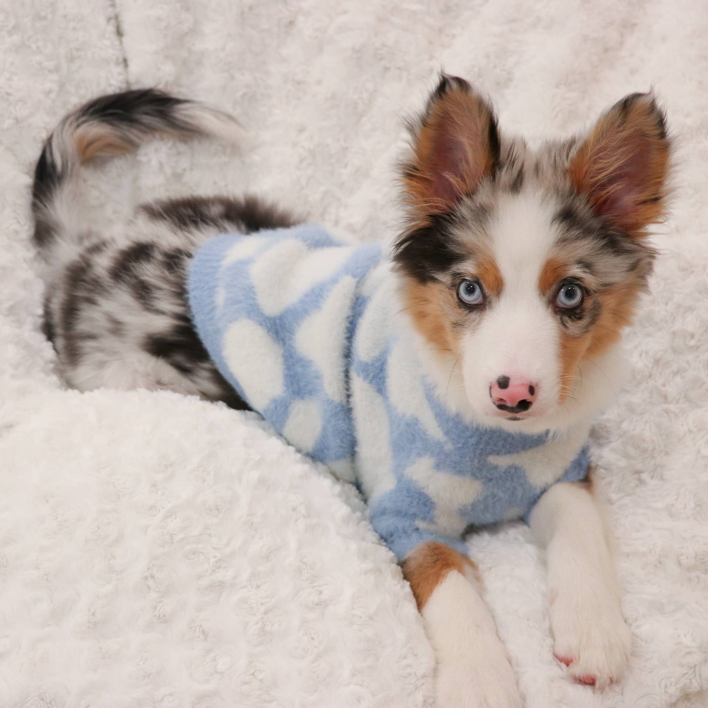 Le pull Soft Cloud - Bleu