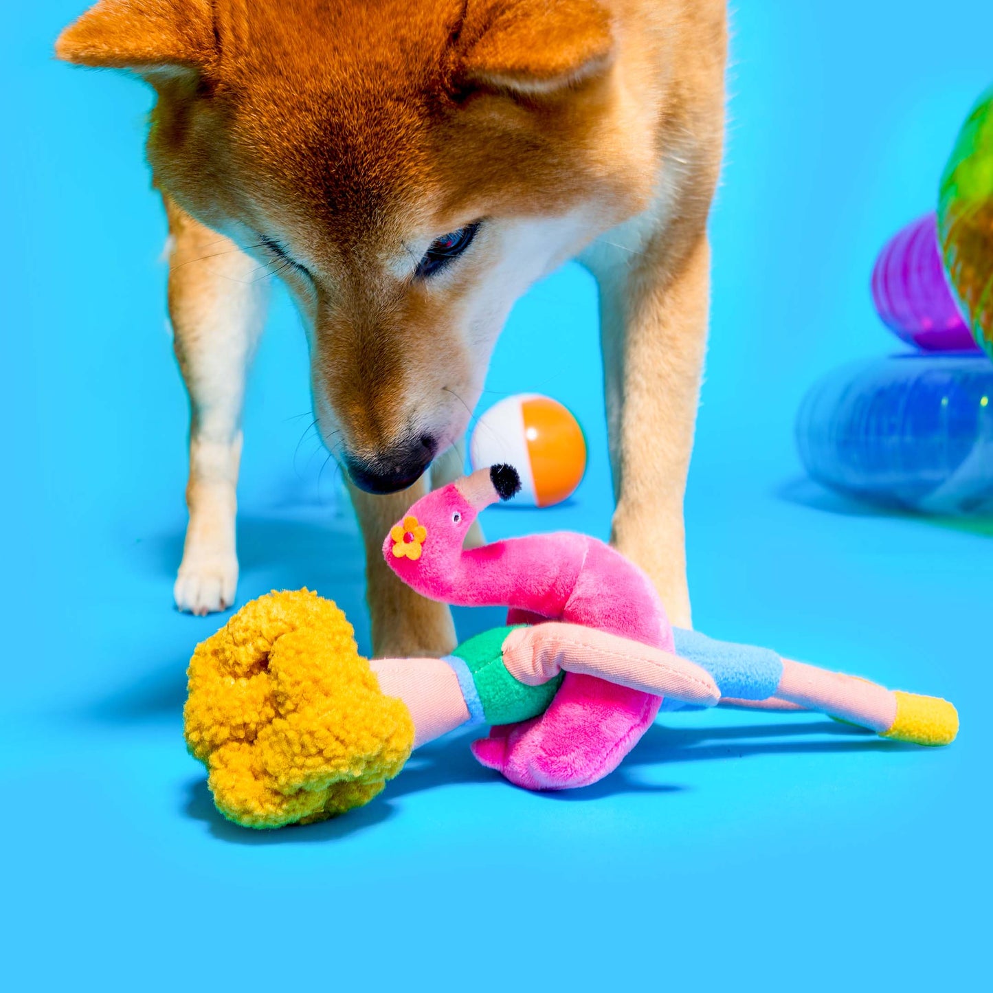 Jouet de pistage pour nez de flamant rose Hooman