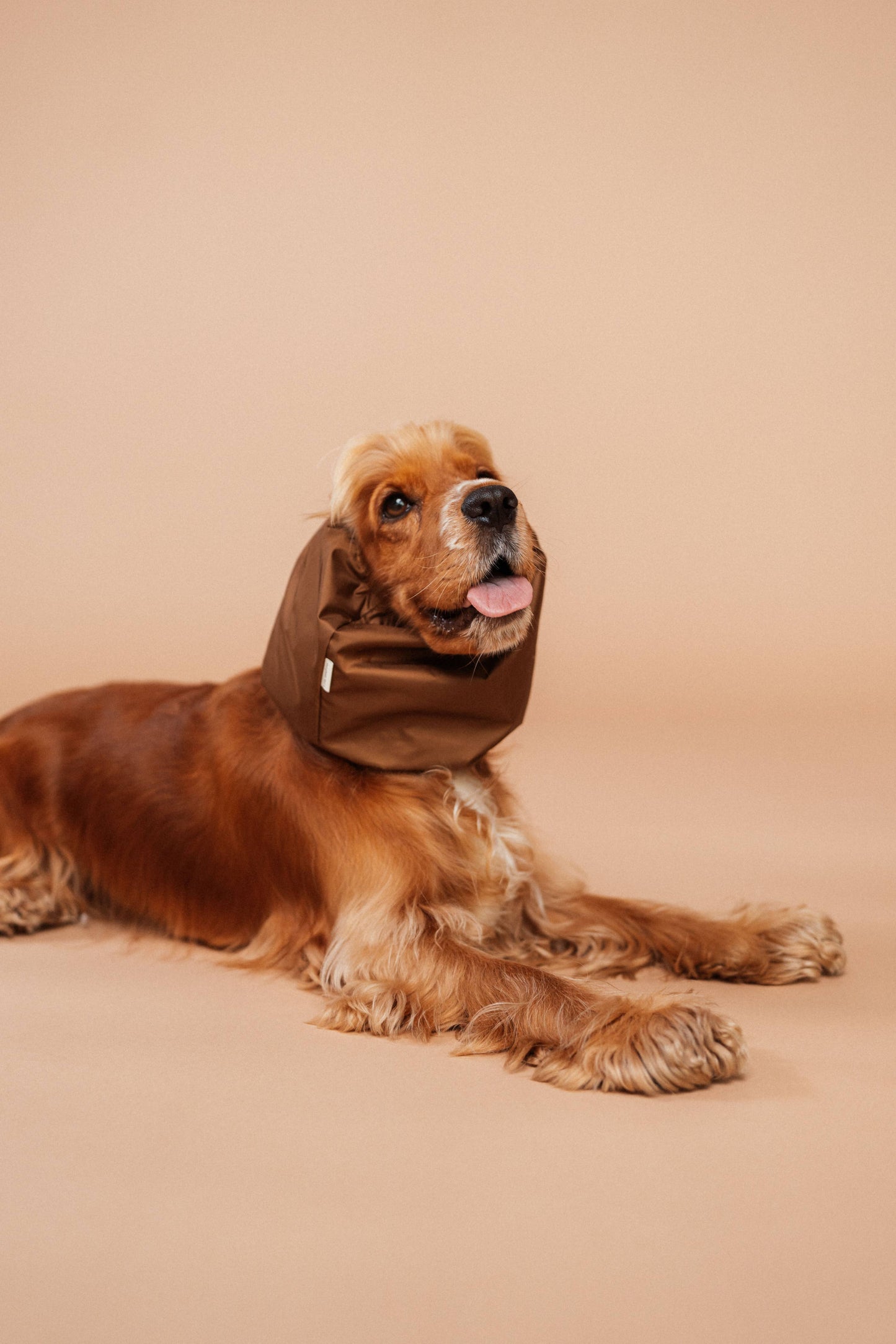 Le Snood imperméable - Marron