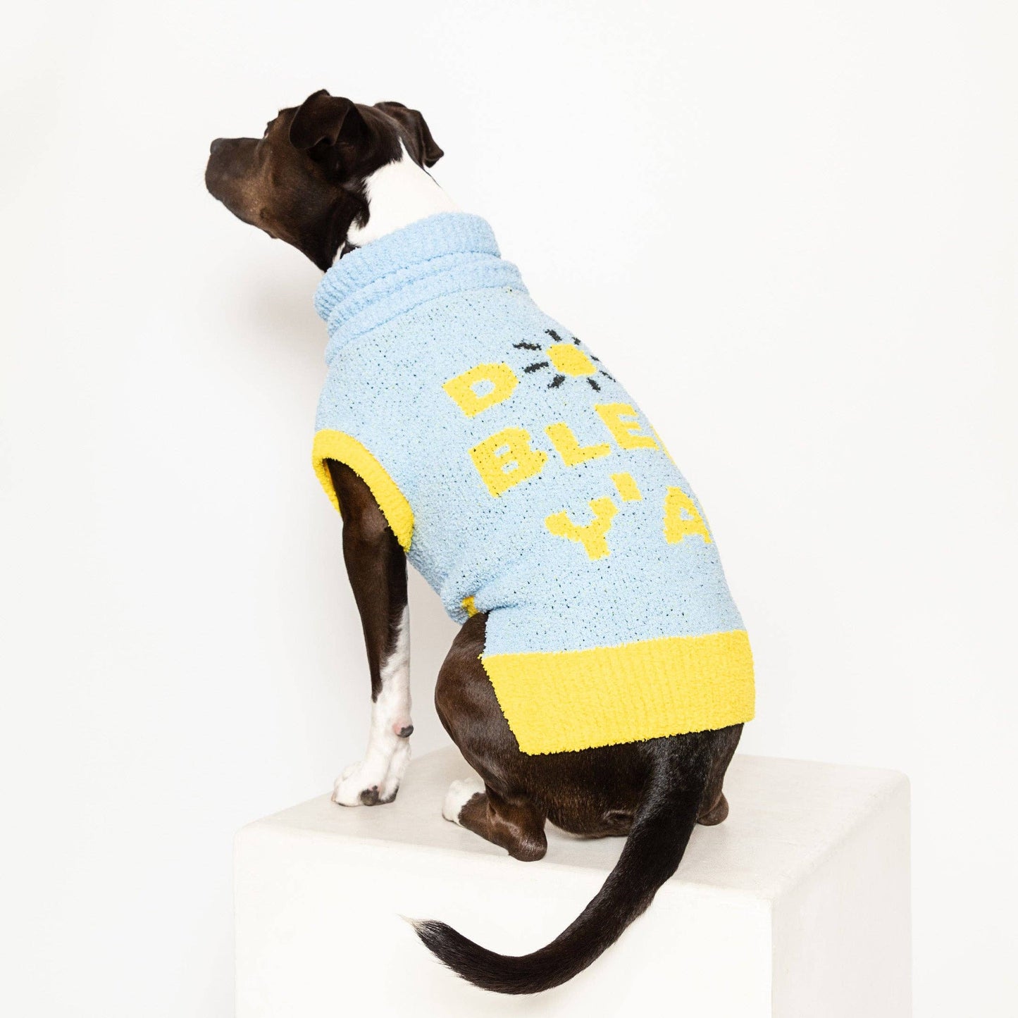 Le Pull - DOG BLESS