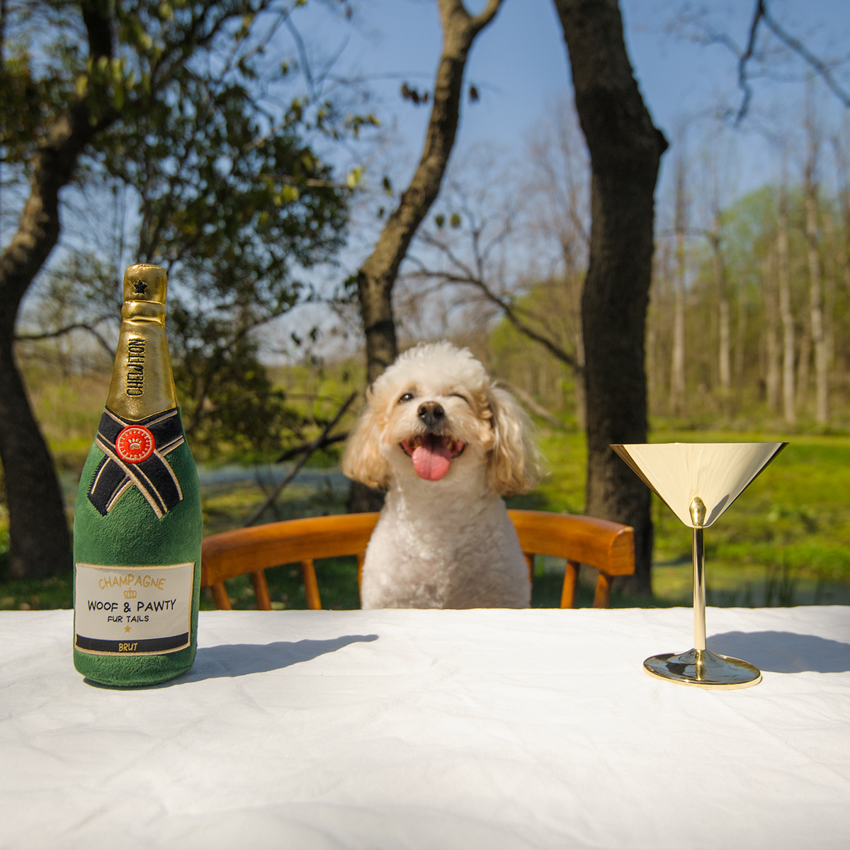 Le Jouet Champagne