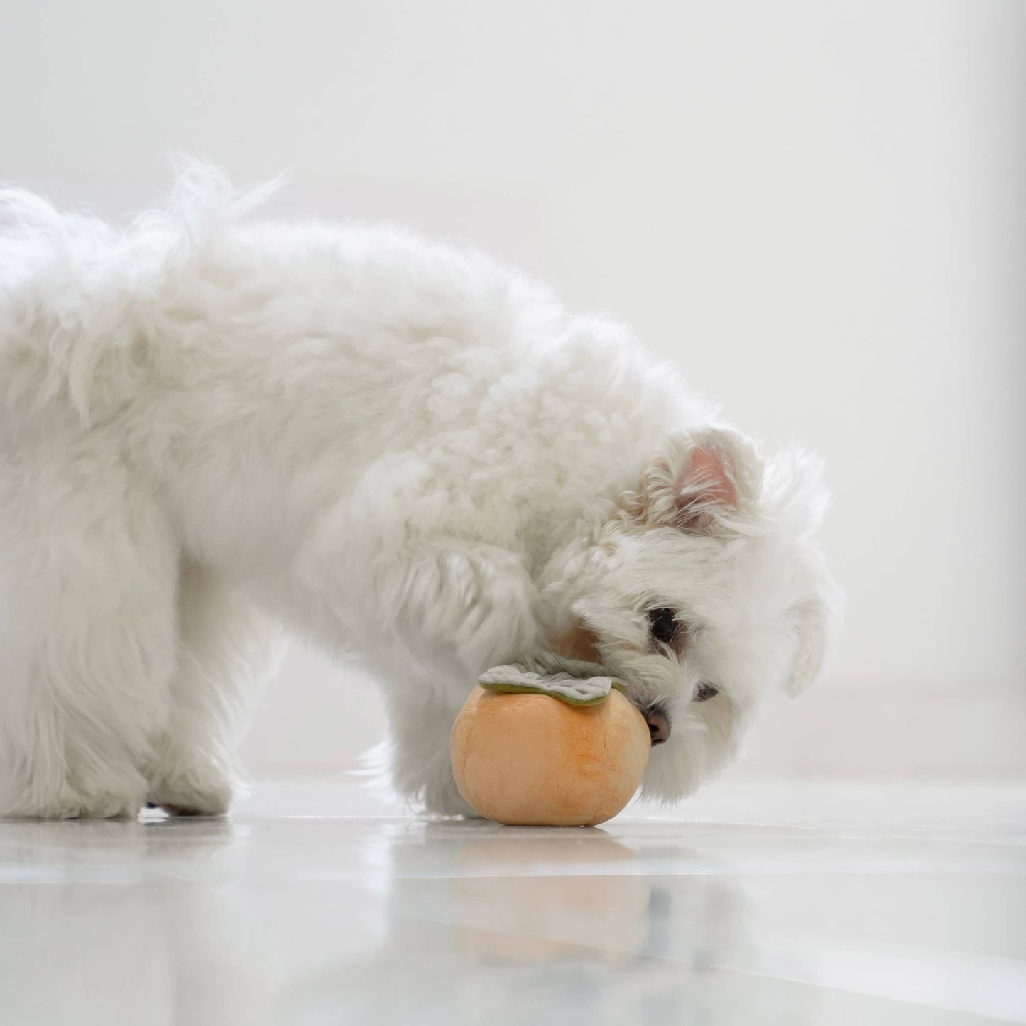 ENSEMBLE À FRUITS//ENSEMBLE DE JOUETS D'ENRICHISSEMENT// JOUET À ÉBOURIFFER
