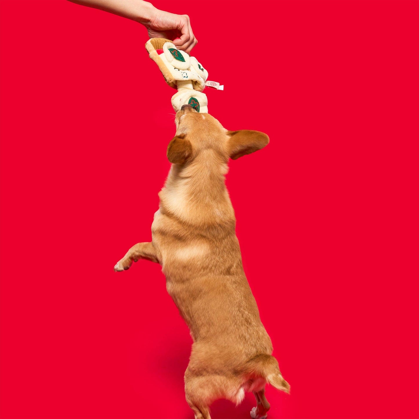 Jouet de pistage pour chien en forme de pizza