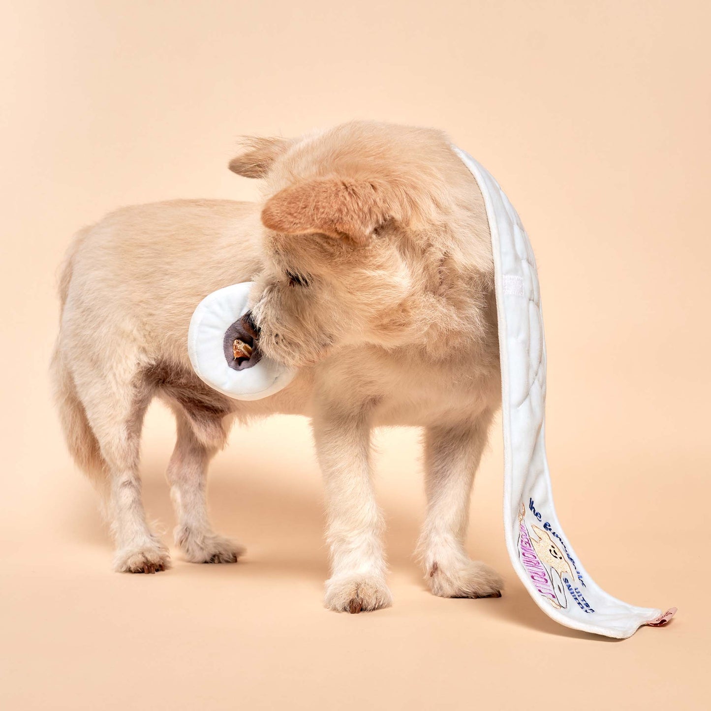 Le Papier Toilette - Furry Folks