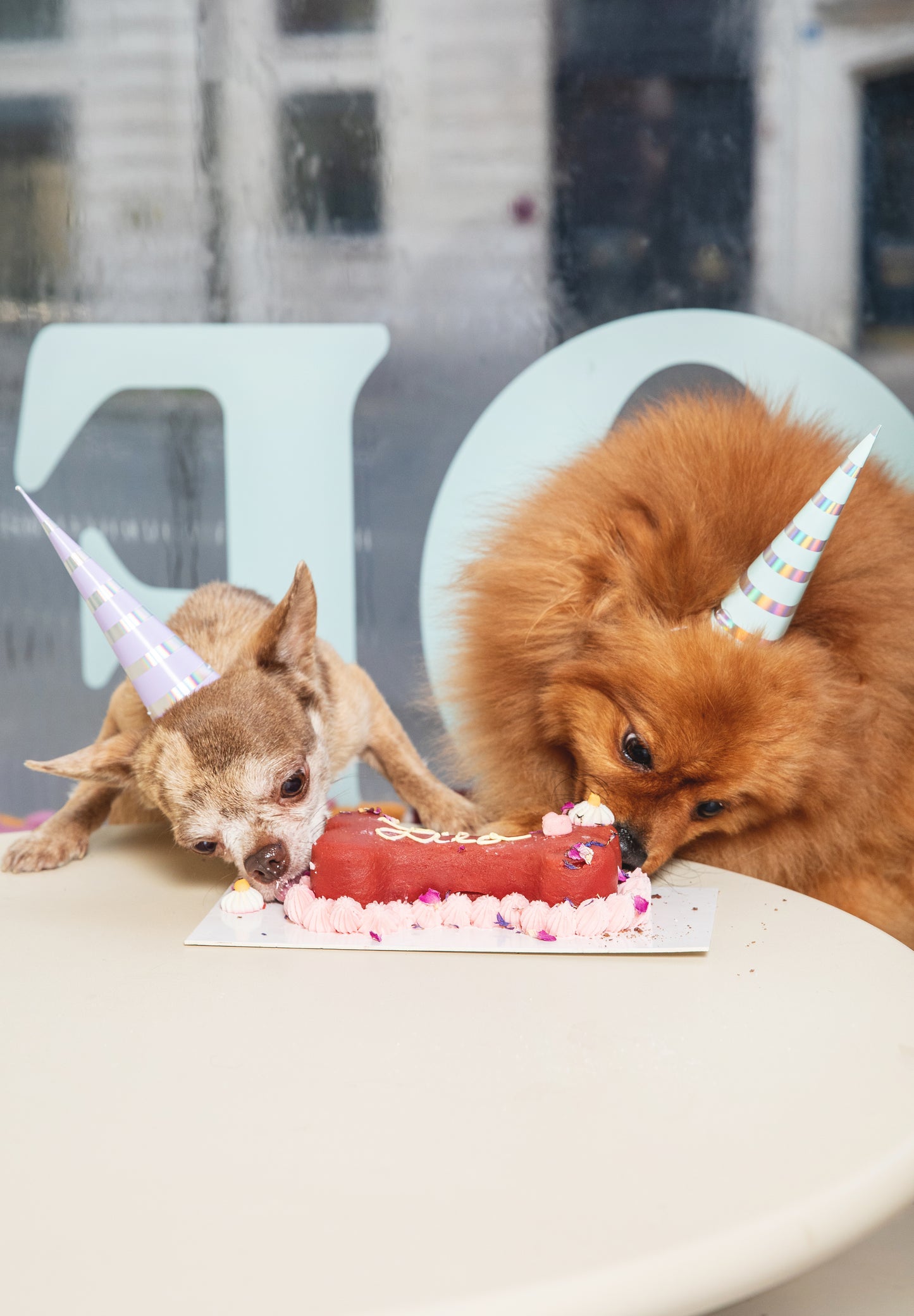 Le Gâteau d’Anniversaire Personnalisable