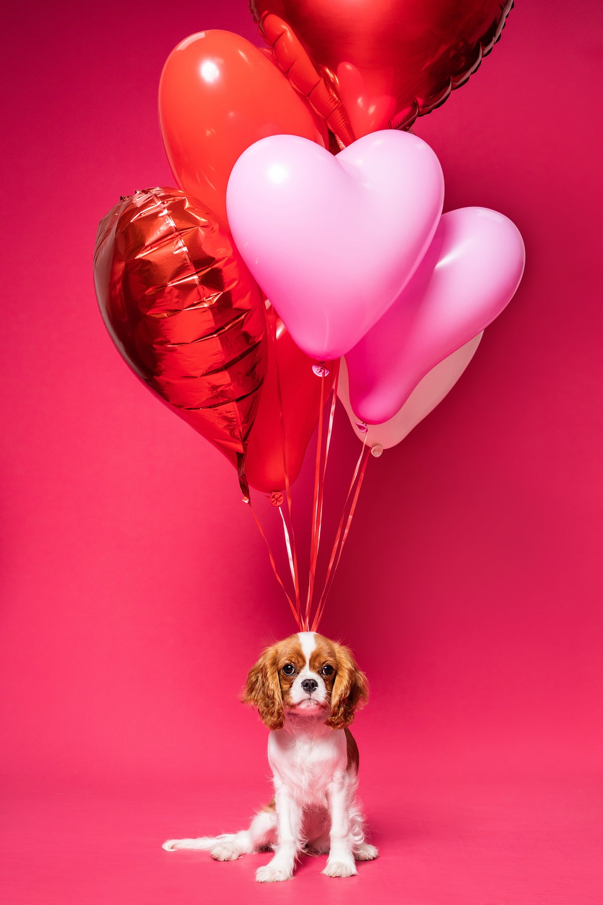 Atelier - Shooting Photo Saint Valentin