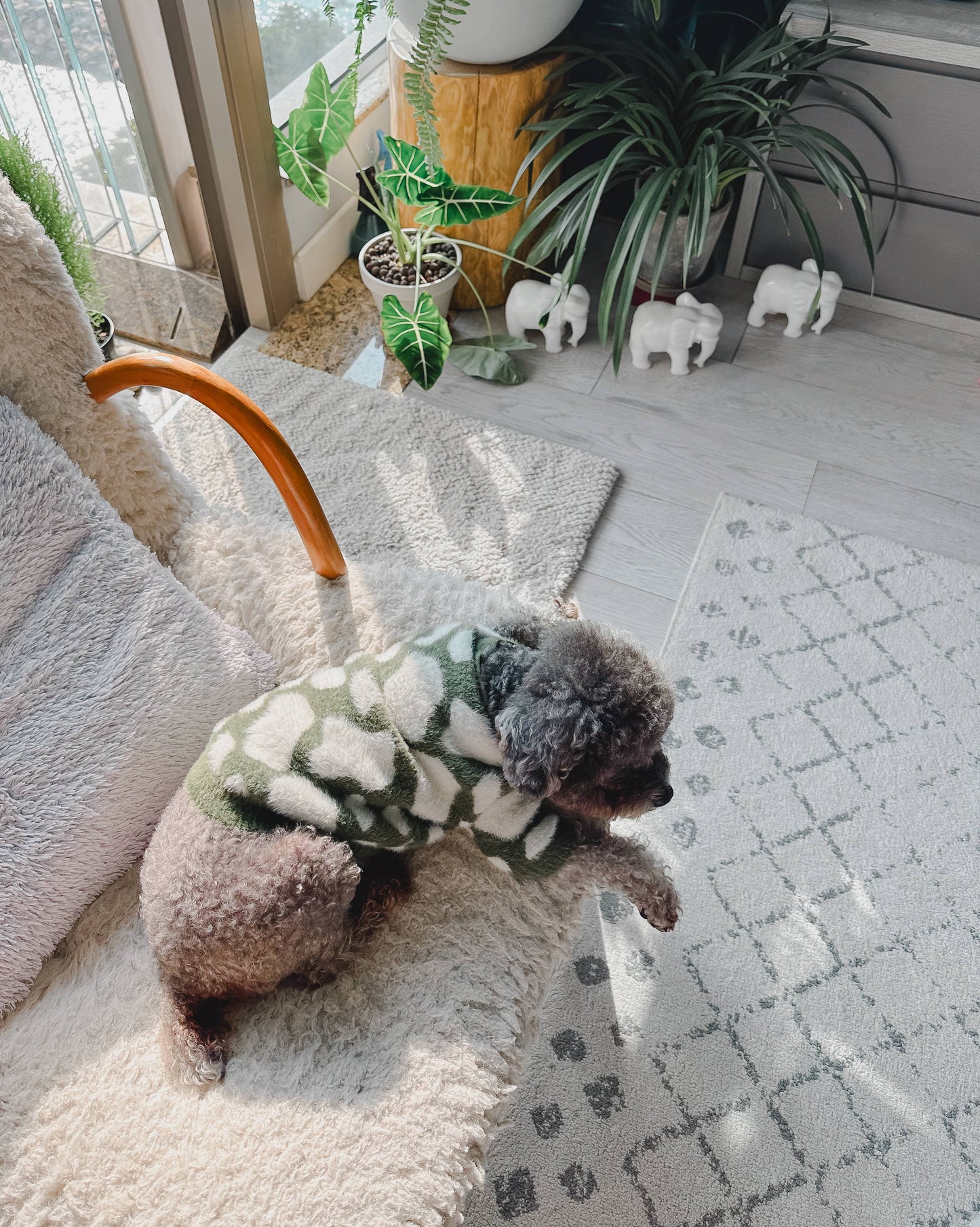 Le pull Soft Cloud - Vert