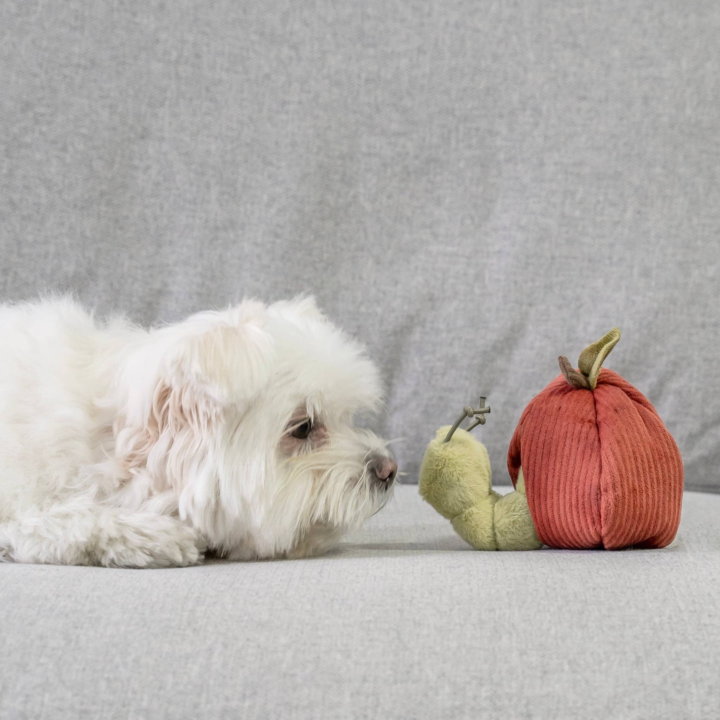 ENSEMBLE À FRUITS//ENSEMBLE DE JOUETS D'ENRICHISSEMENT// JOUET À ÉBOURIFFER