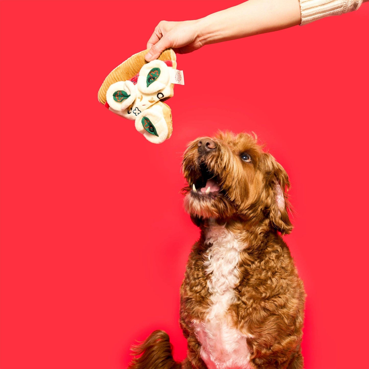 Jouet de pistage pour chien en forme de pizza