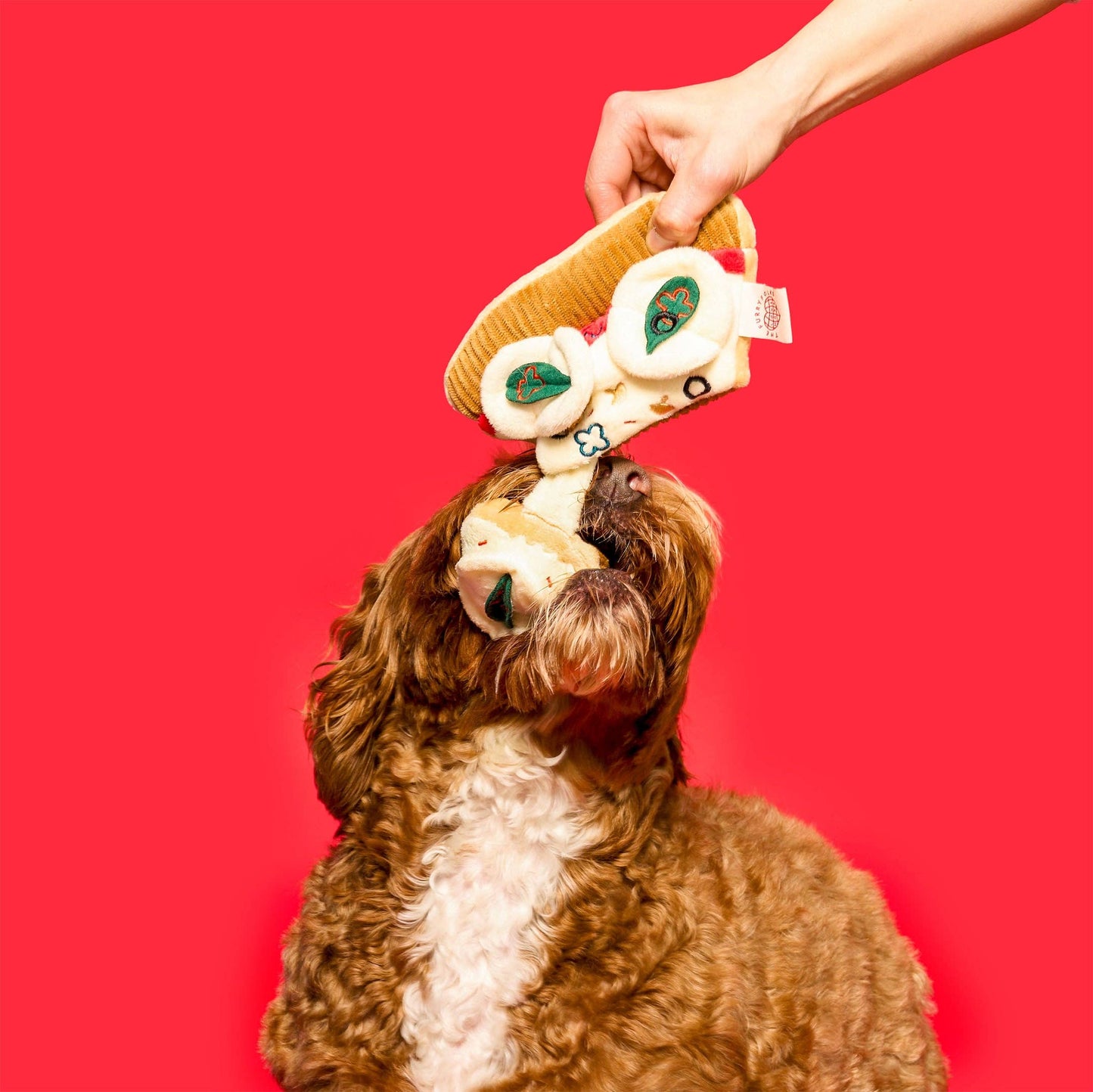 Jouet de pistage pour chien en forme de pizza