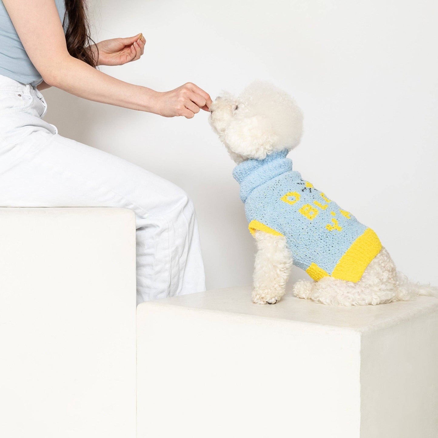 Le Pull - DOG BLESS