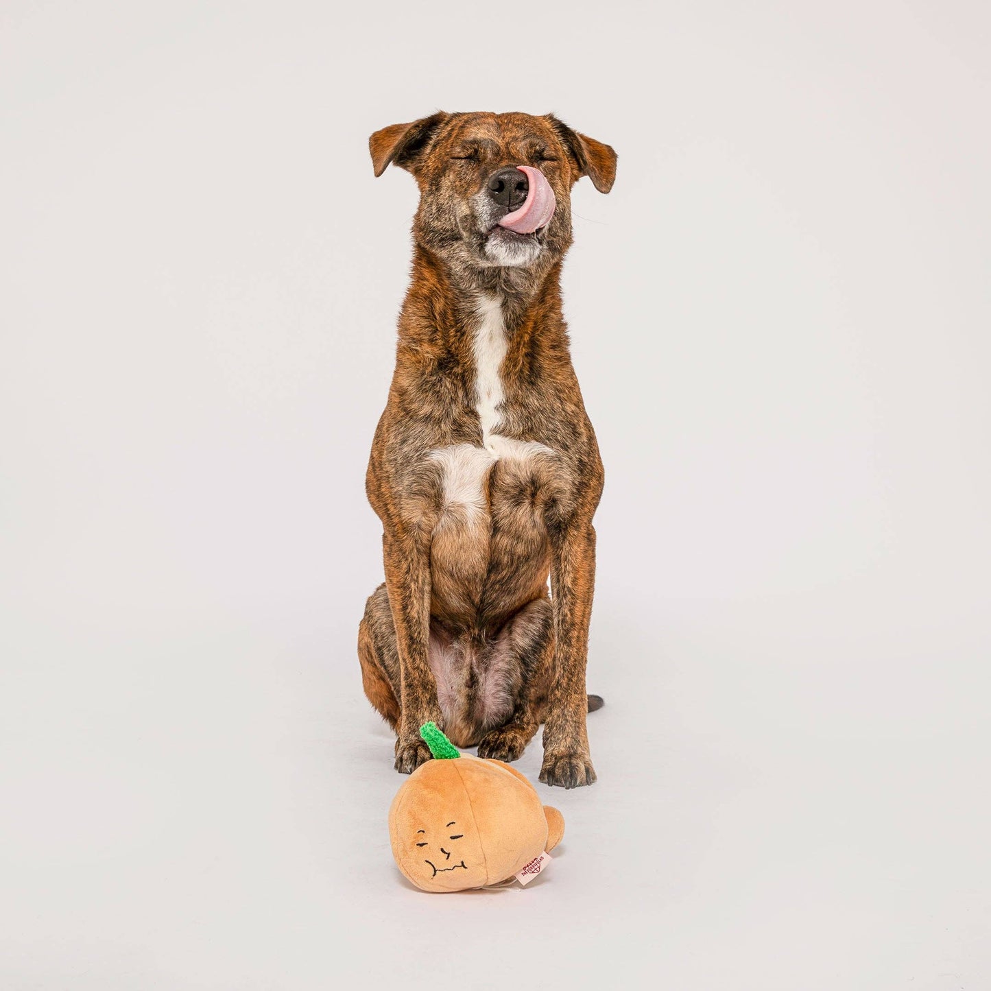 L'Oignon Jaune - Jouet d'Occupation pour les chiens