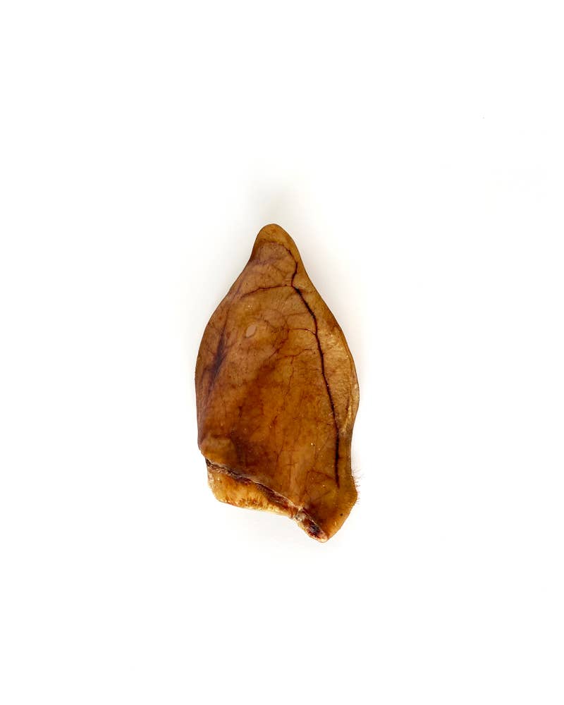 L'Oreille de Porc Ibérique Classique