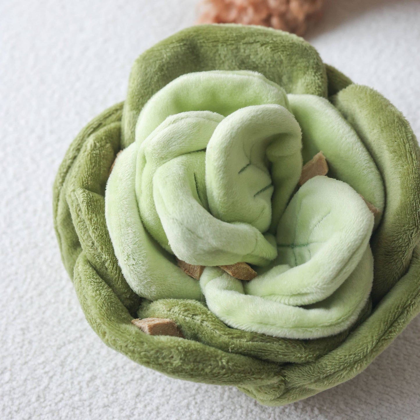 Le Jouet de Fouille Salade