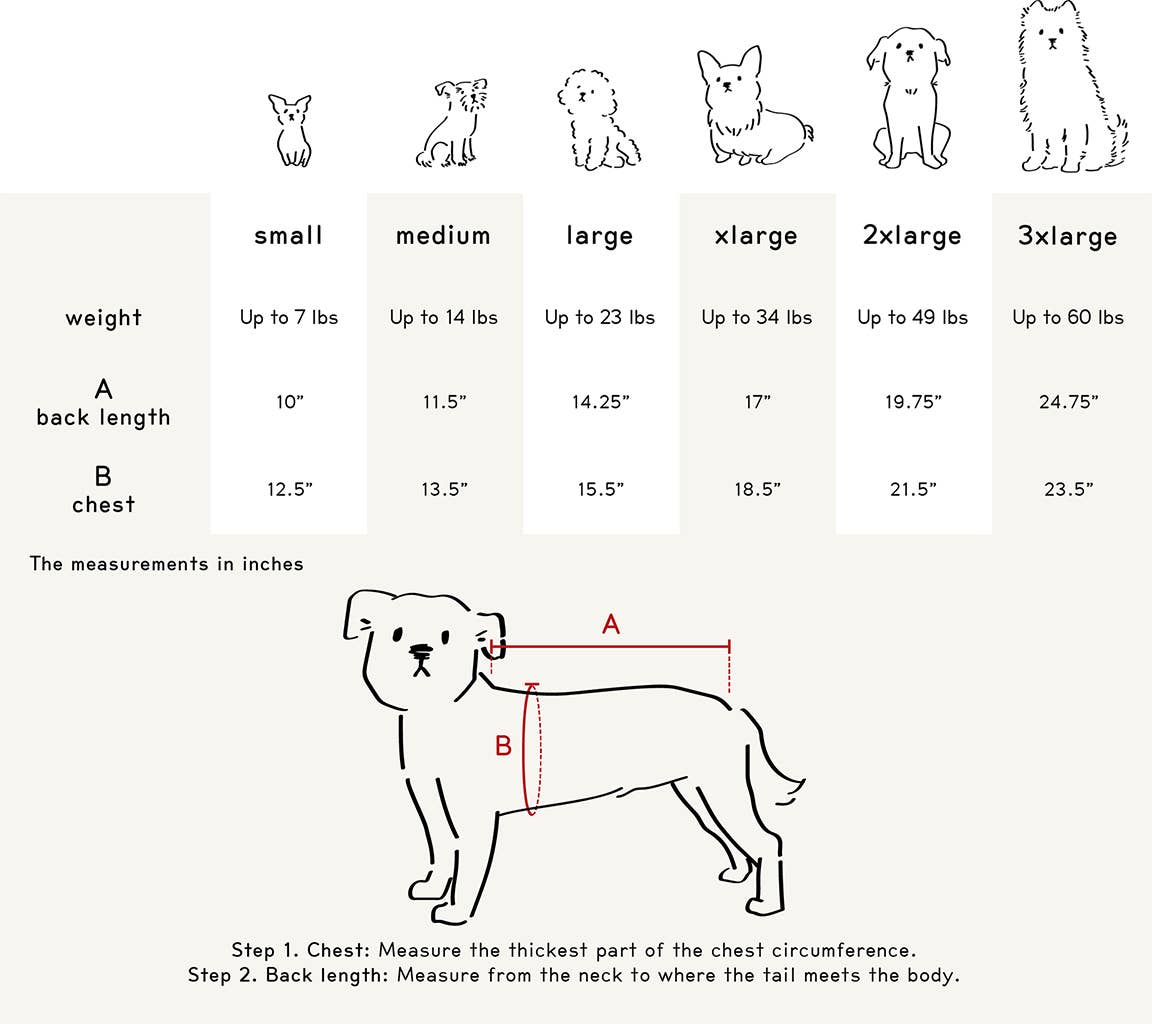 Le Pull - DOG BLESS