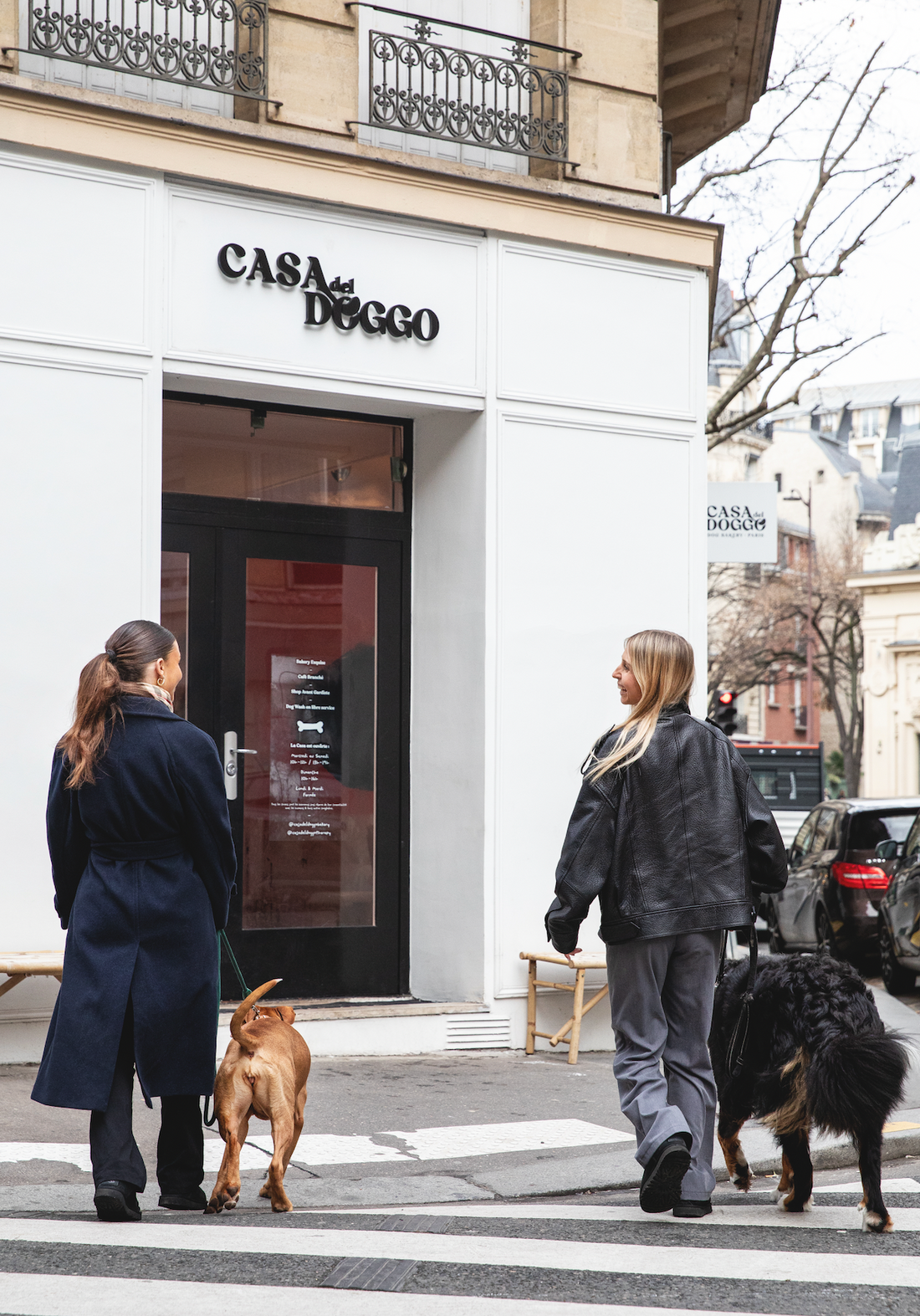 Le bien-être physique & mental : la base d’un chien en bonne santé