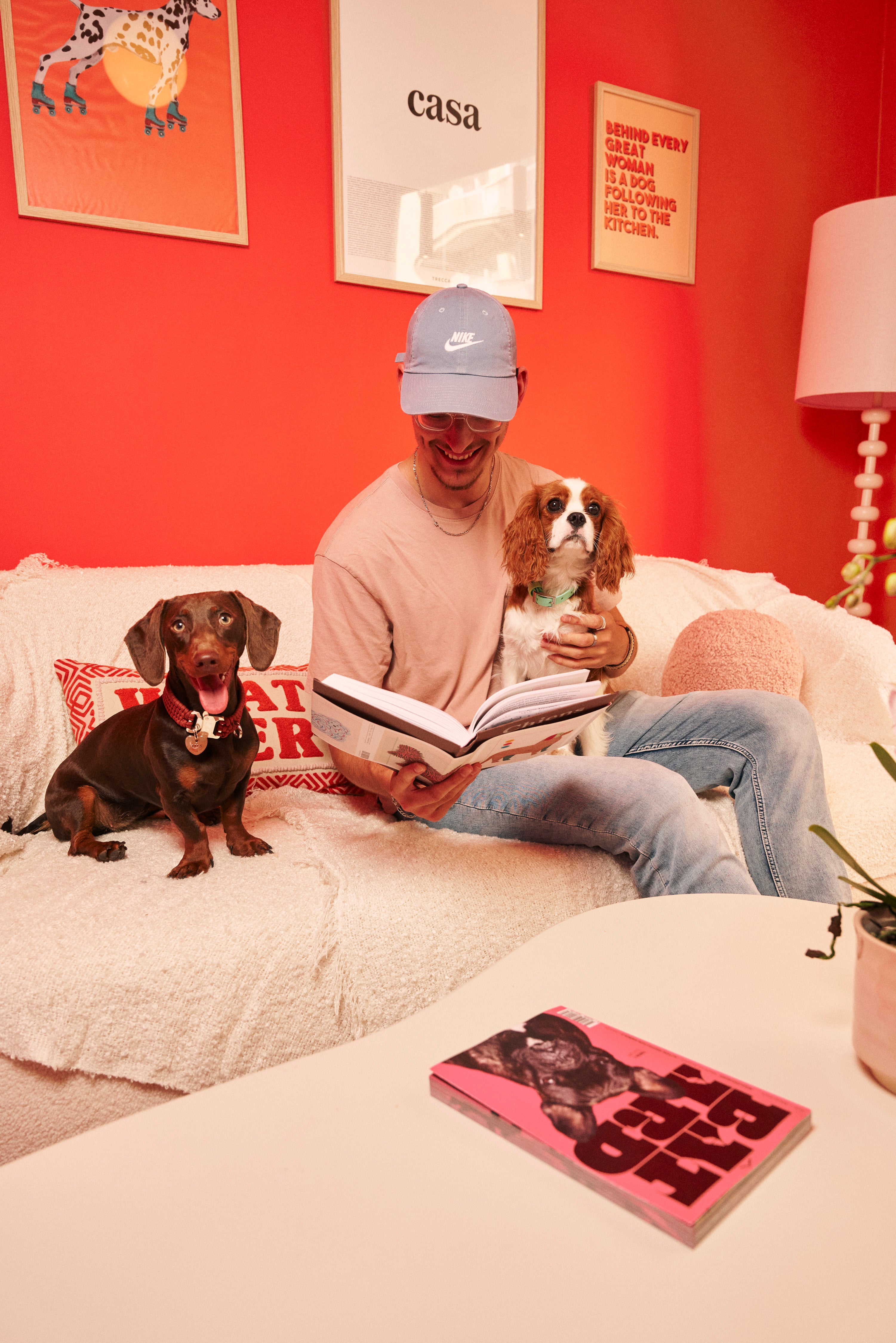Doggo Fr La Sociabilisation ! – CASA DEL DOGGO