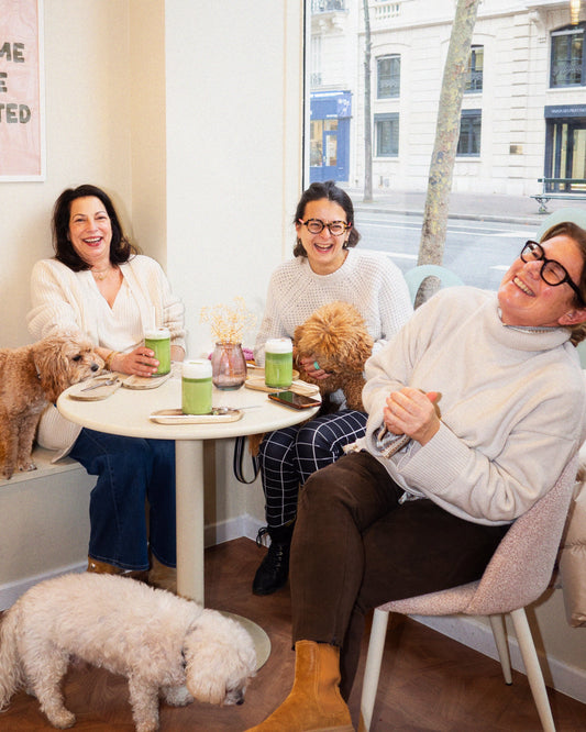 Coffee shop dog friendly Paris 7 | Café avec chien accepté – La Casa Del Doggo