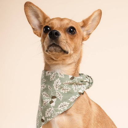 Le Bandana pour chien Boone