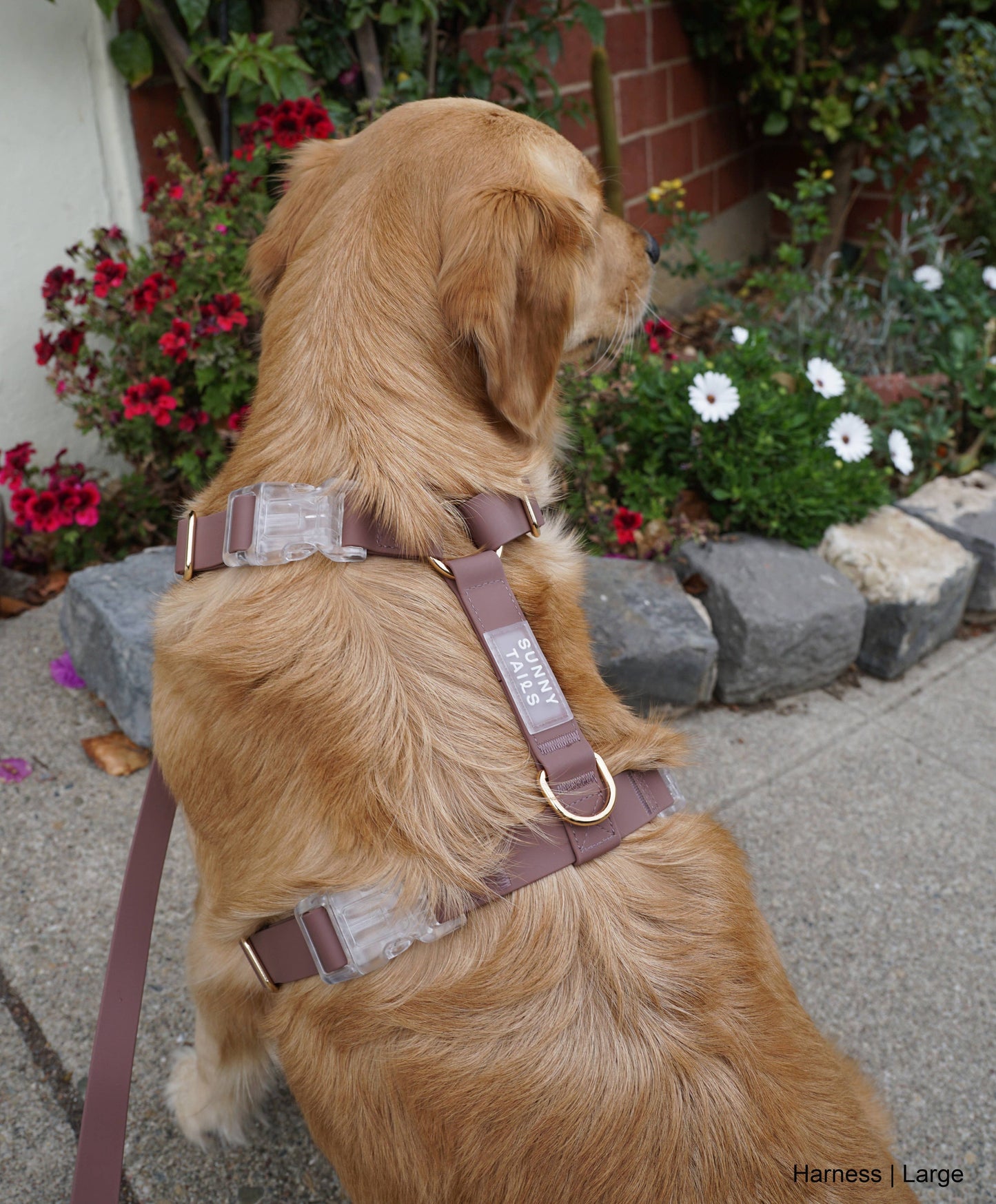 La Laisse pour chien en forme de nuage convertible 4 en 1 Espresso Brown