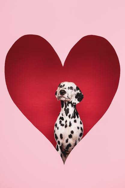 Atelier - Shooting Photo Saint Valentin