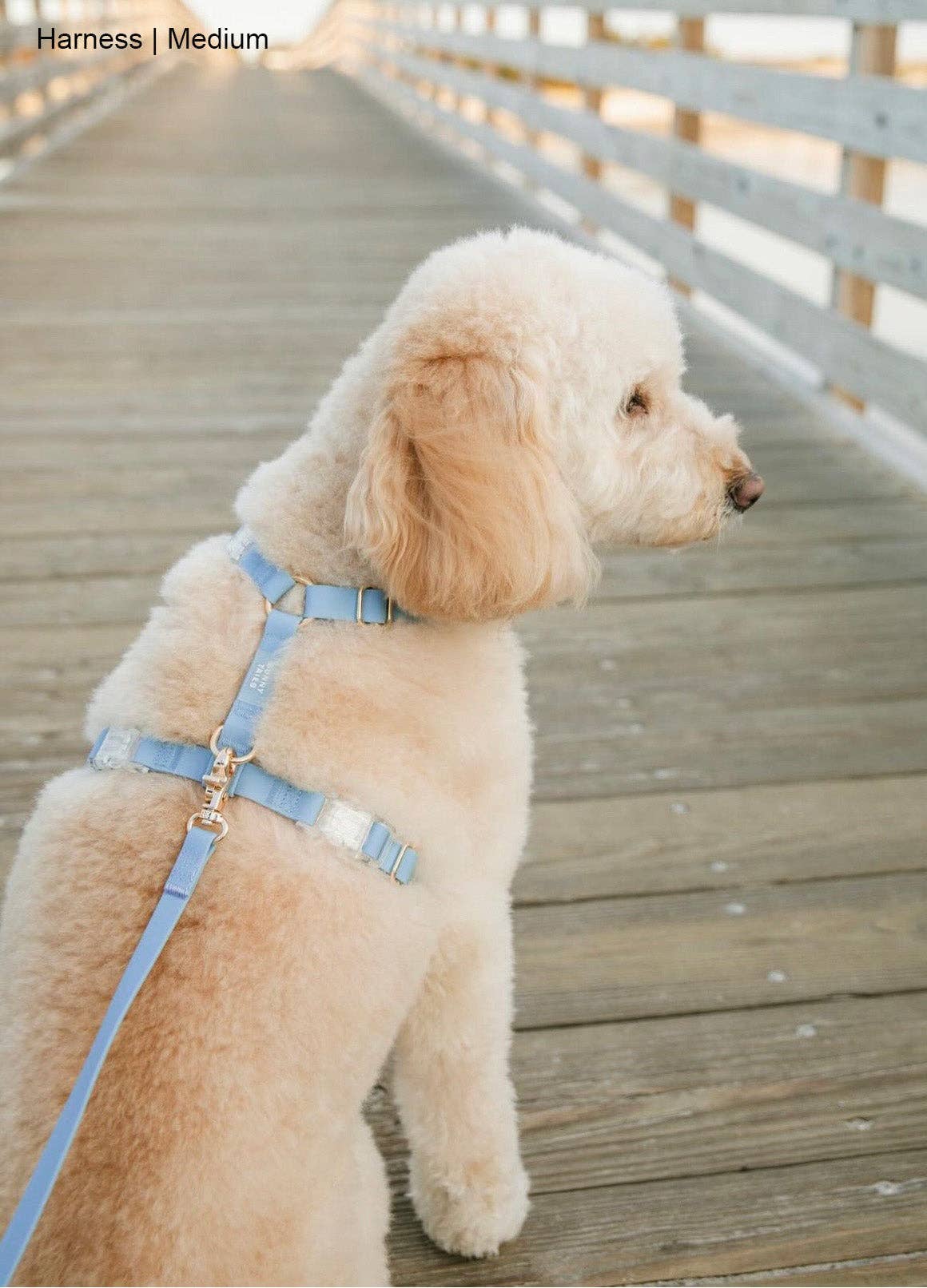 Le Harnais pour chien Malibu Blue Cloud Lite