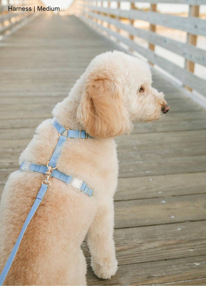 Le Harnais pour chien Malibu Blue Cloud Lite