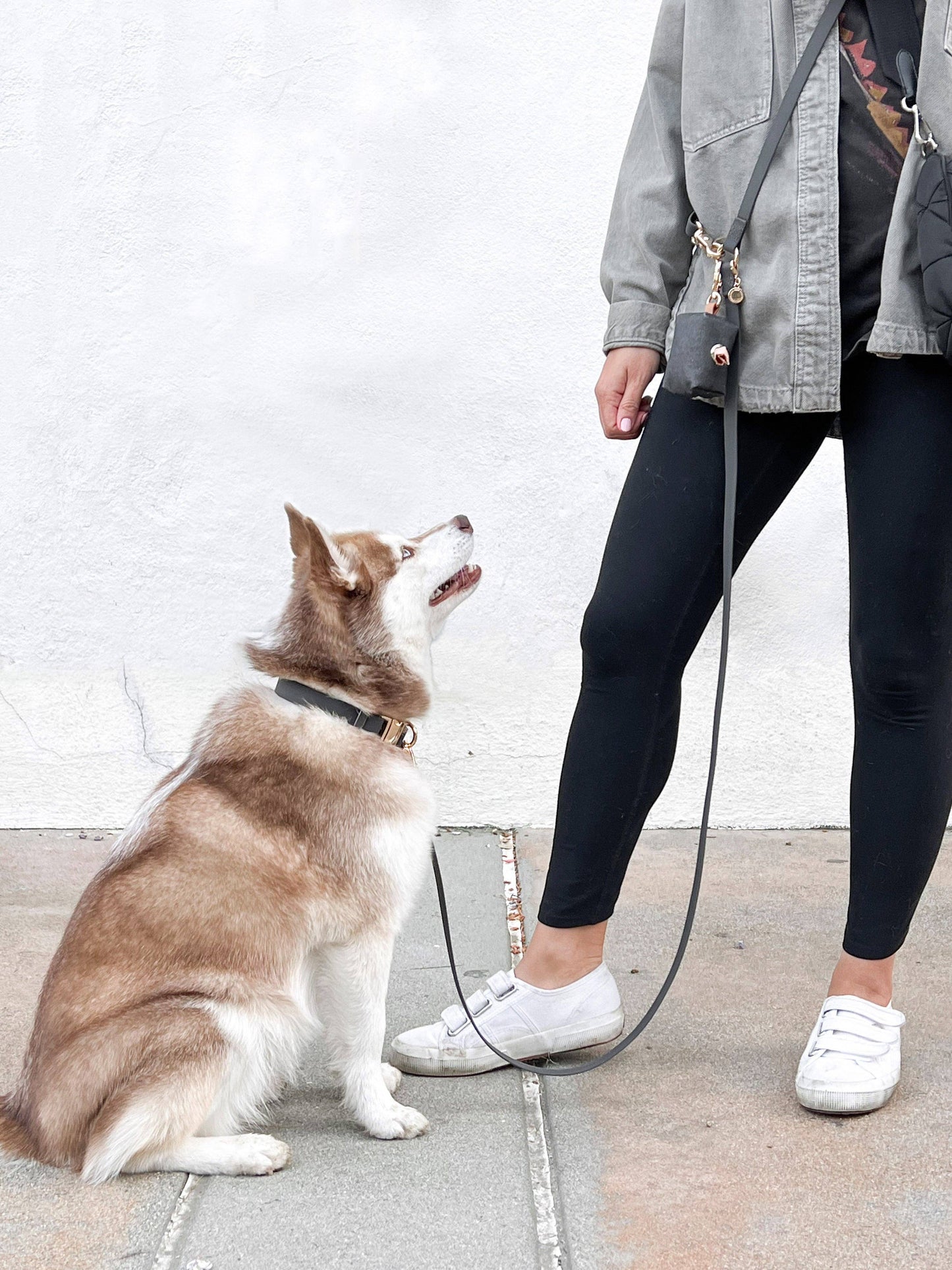 La Laisse pour chien Ember Black convertible 4 en 1 Hands Free Cloud