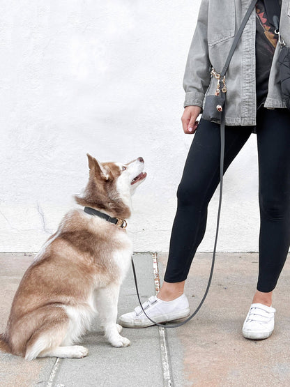 La Laisse pour chien Ember Black convertible 4 en 1 Hands Free Cloud