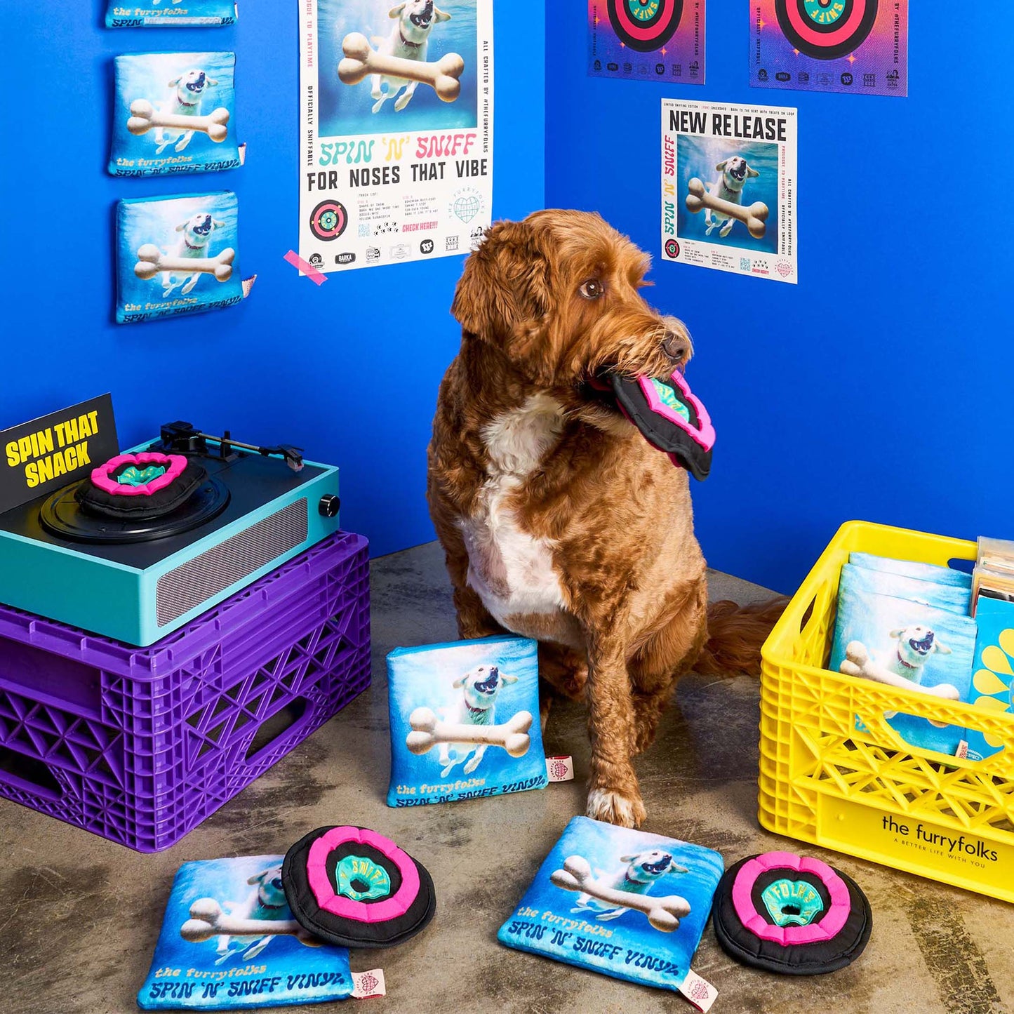 Le Jouet d’odorat en vinyle pour chien