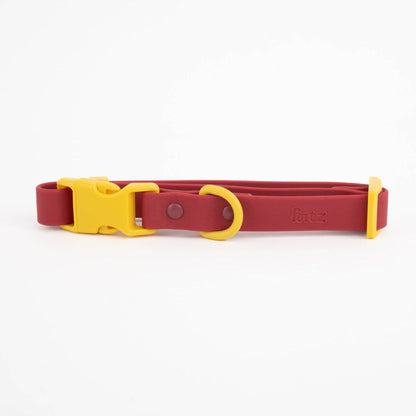 Le collier Fritz
