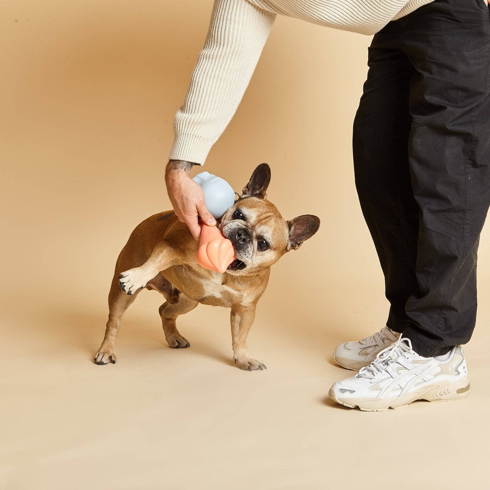 La Glace - Jouet Squeak pour chien