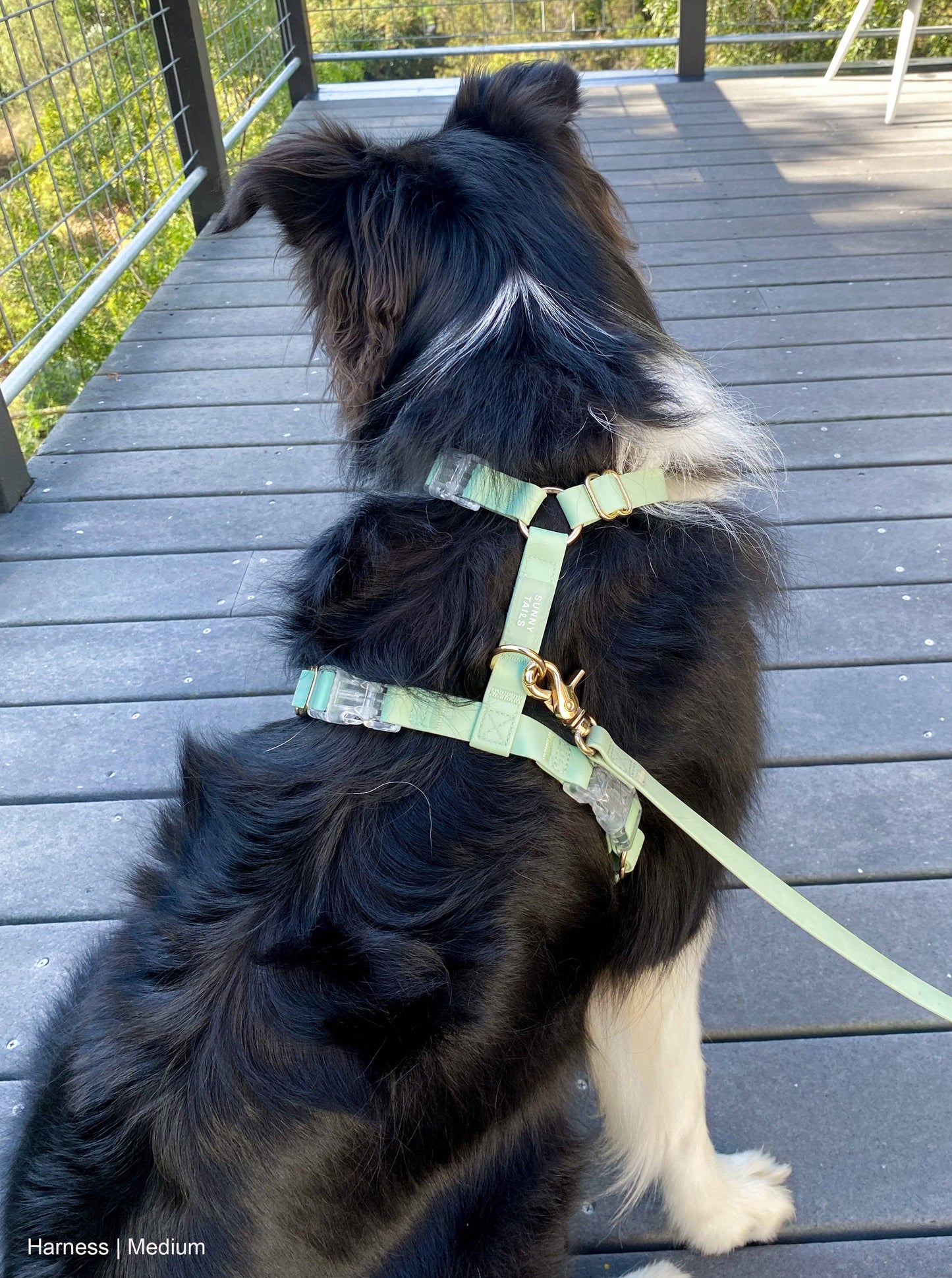 Le Harnais pour chien Pistachio Green Cloud Lite