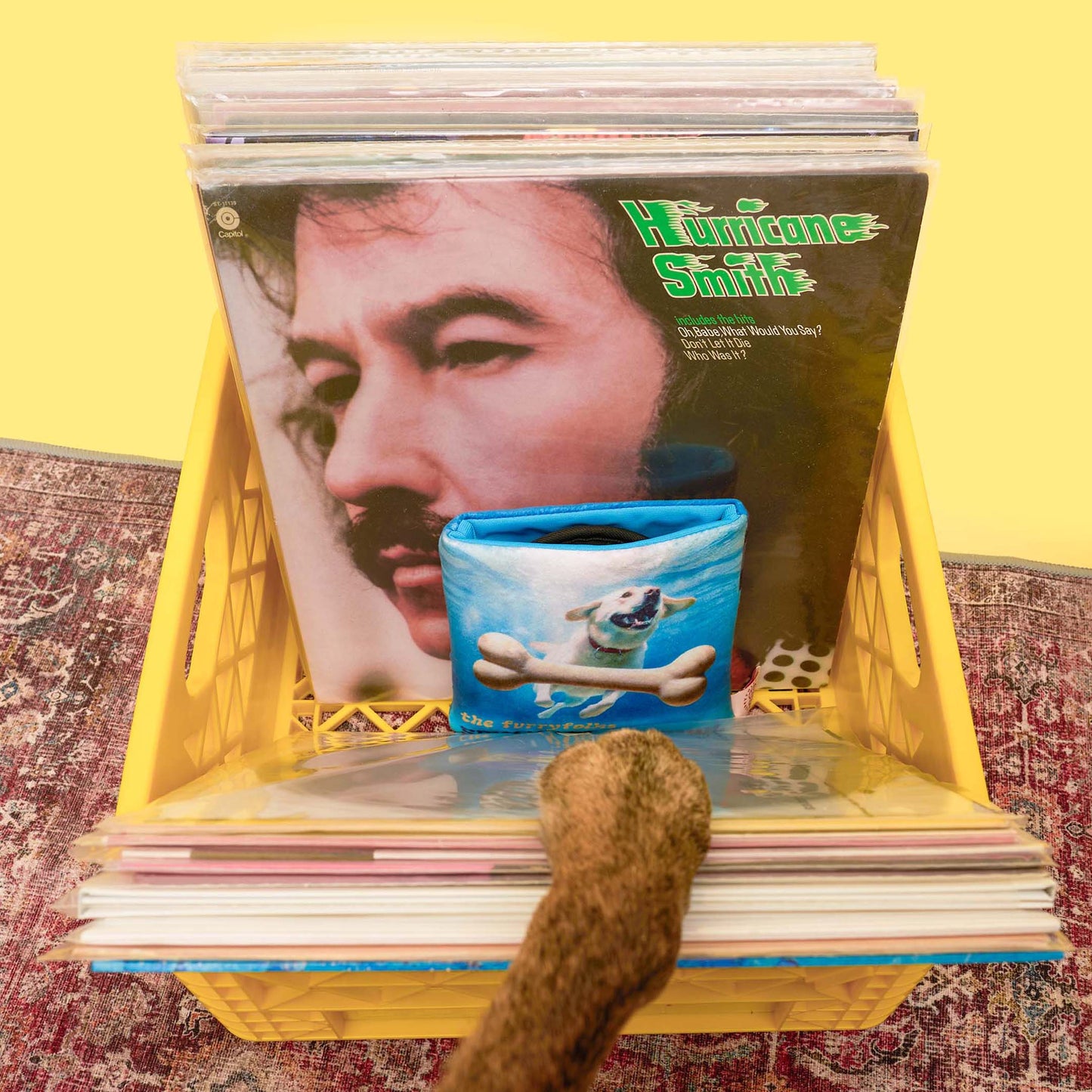 Le Jouet d’odorat en vinyle pour chien