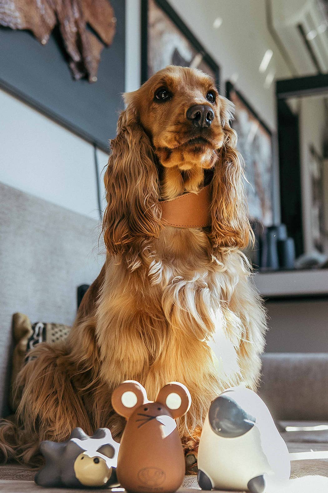 Jouet en latex Tato pour chiens et chats