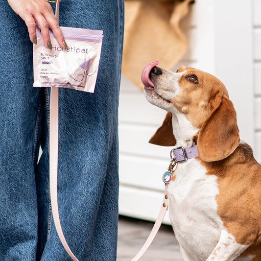 Doggo Fr Boulangerie pour chien Française 🐕 – CASA DEL DOGGO