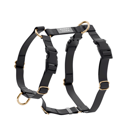 Le harnais imperméable - Black Cloud Lite
