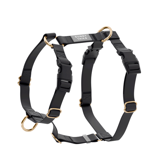 Le harnais imperméable - Black Cloud Lite