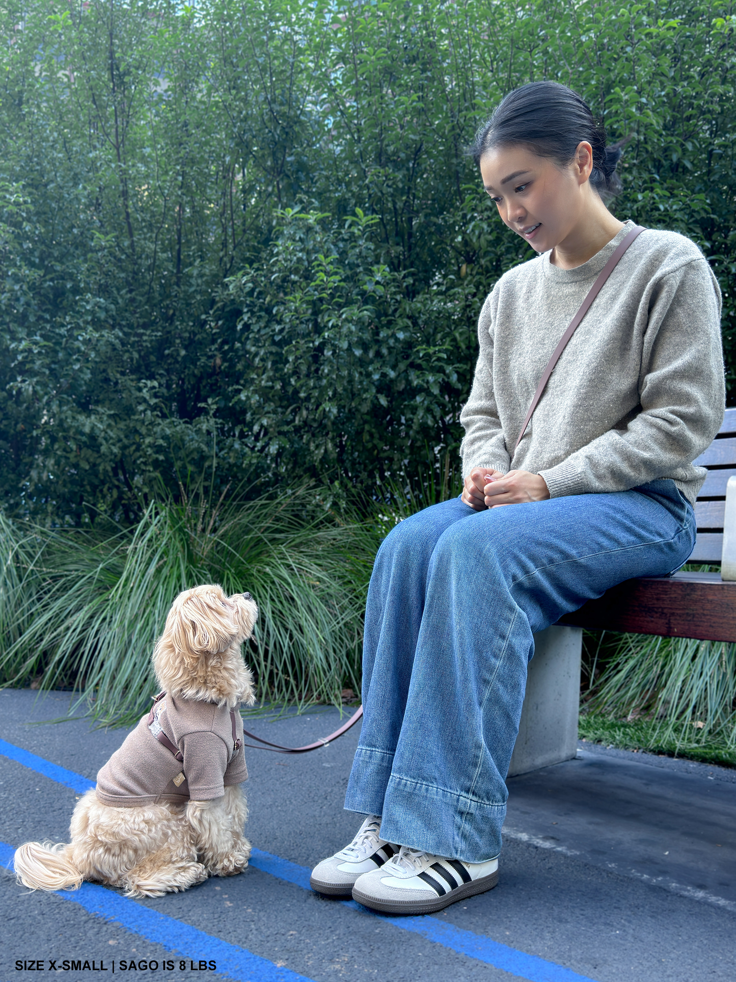 Le Harnais pour chien Espresso Brown Cloud Lite