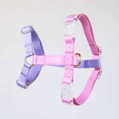 Le Harnais - Violet & Rose