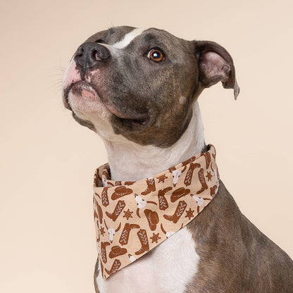 Le Bandana pour chien Bronco