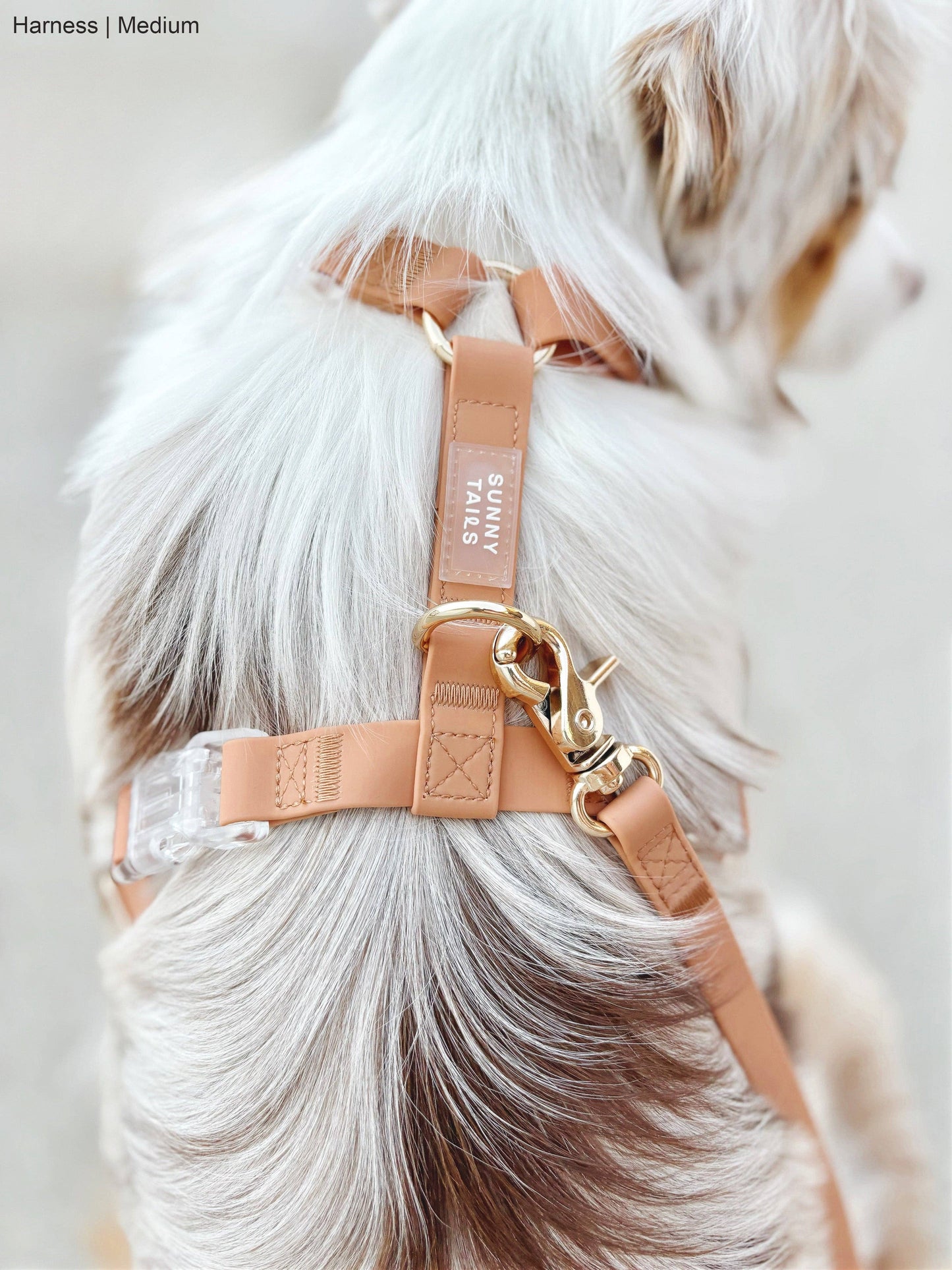 Le Harnais pour chien Chai Brown Cloud Lite