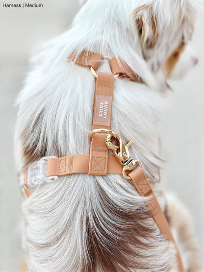 Le Harnais pour chien Chai Brown Cloud Lite
