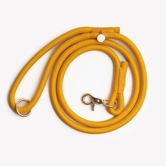 La Laisse jaune en corde tressée
